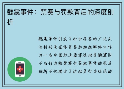 魏震事件：禁赛与罚款背后的深度剖析
