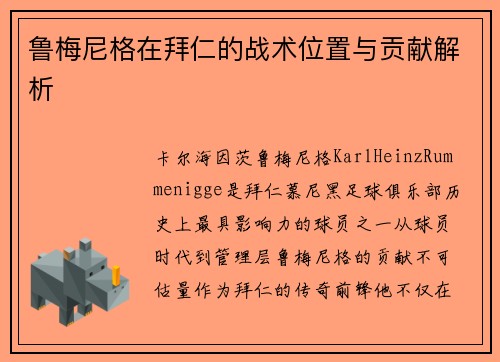 鲁梅尼格在拜仁的战术位置与贡献解析